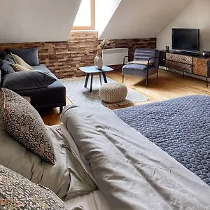 https://cozy-and-warm-apartment-in-the-heart-of-karlsbad-karlovy-vary.marianskelaznehotels.net